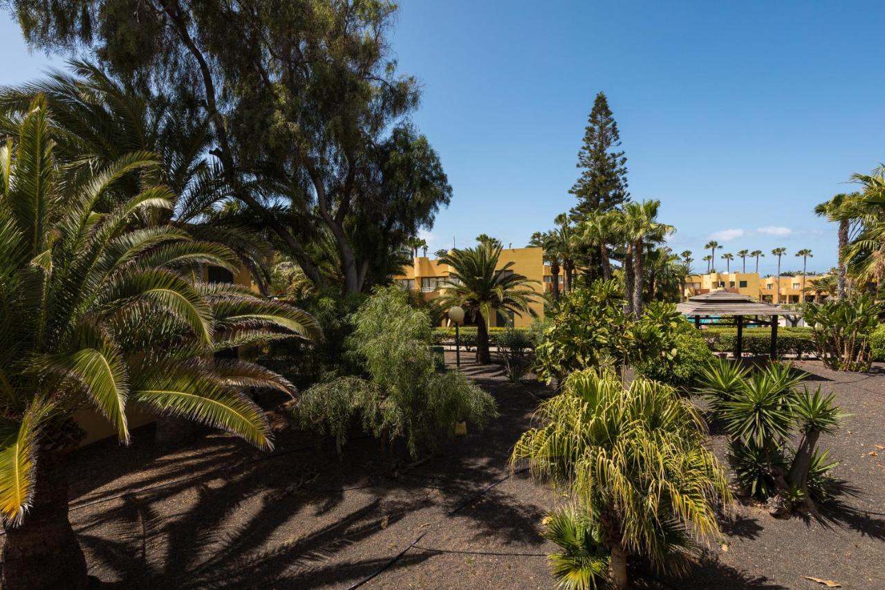 Blue Pearl Daire Corralejo Dış mekan fotoğraf